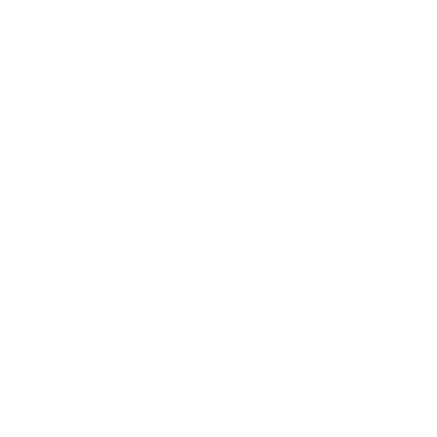US Intel Community